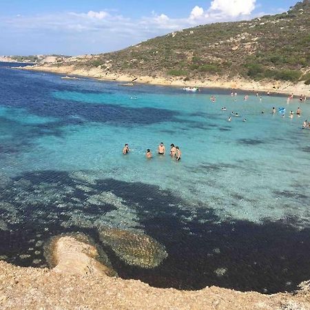 Exceptionnelle Vue Mer Calvi - Piscine - T2 מראה חיצוני תמונה
