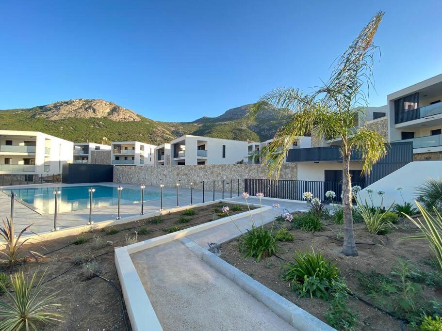 Exceptionnelle Vue Mer Calvi - Piscine - T2 מראה חיצוני תמונה