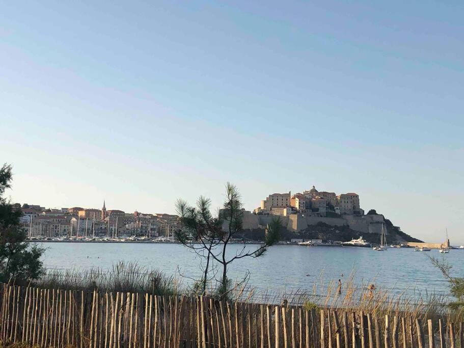 Exceptionnelle Vue Mer Calvi - Piscine - T2 מראה חיצוני תמונה